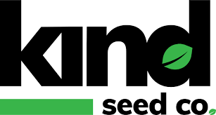 Your Ultimate Guide to Marijuana Seeds New Mexico Your Ultimate Guide to Marijuana Seeds New Mexico
